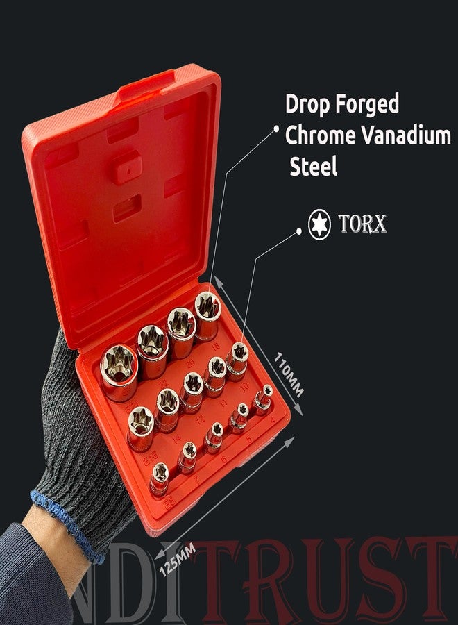 Inditrust مجموعة مفاتيح توركس أنثوية ممتازة من إنديترست، مصنوعة من فولاذ الكروم والفاناديوم، مكونة من 14 قطعة، طراز E-Torx، مجموعة مفاتيح توركس فائقة الجودة، مجموعة مفاتيح عزم الدوران، مجموعة مفاتيح توركس خارجية، E4 E5 E6 E7 E8 E10 E11 E12 E14 E16 E18 E20 E22 E24 - Image 5